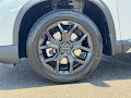 2025 Honda Pilot Touring+