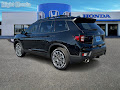 2024 Honda Passport Black Edition