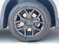 2025 Honda Pilot Touring+