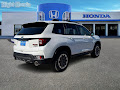 2024 Honda Passport TrailSport