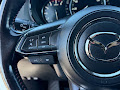 2022 Mazda CX-9 Carbon Edition