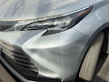 2025 Toyota Sienna LE